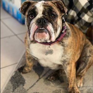 Meet your Posher, Lizette